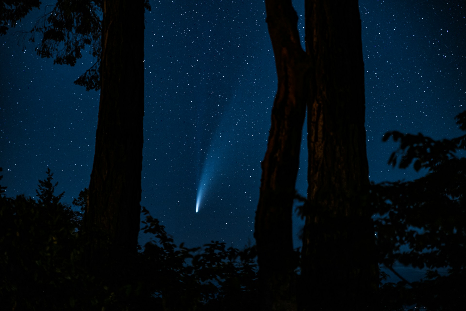 Falling star meteor over desert horizon